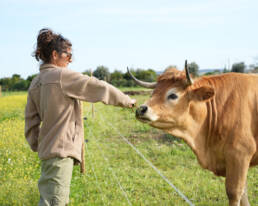 Mulher a alimentar uma vaca com erva fresca num campo florido.