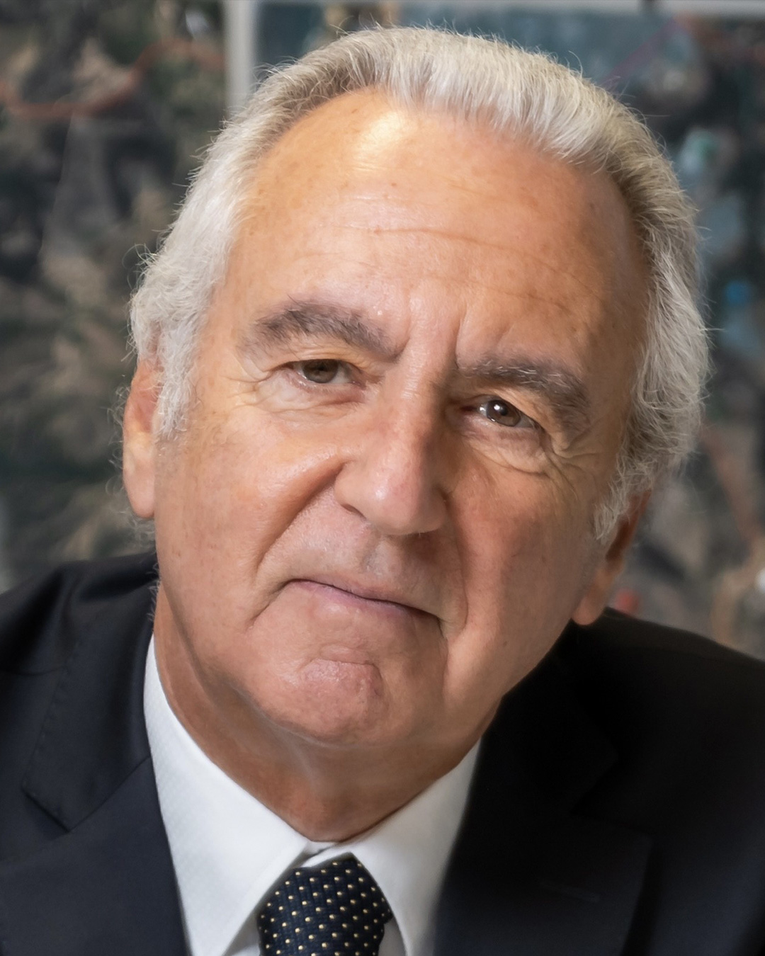 Retrato de Lu&iacute;s Mesquita Dias Conselho Curadores