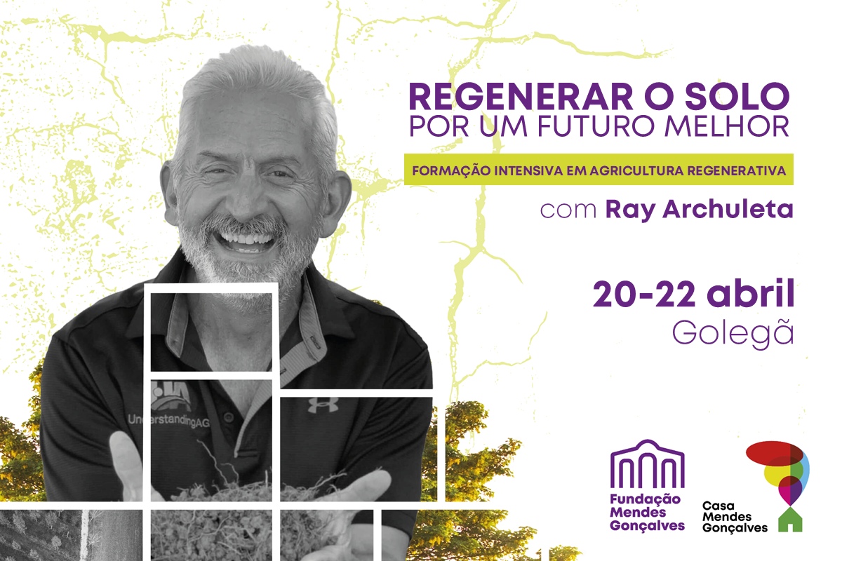 Regenerar o solo por um futuro melhor Formação