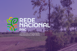 Logo RRN